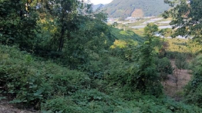 경상남도 함안군 칠북면 이령리 860-2 임야 경매 사진 7