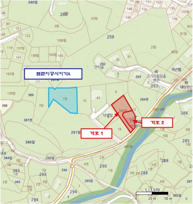 경기도 용인시 수지구 고기동 259-184 임야 경매 사진 20