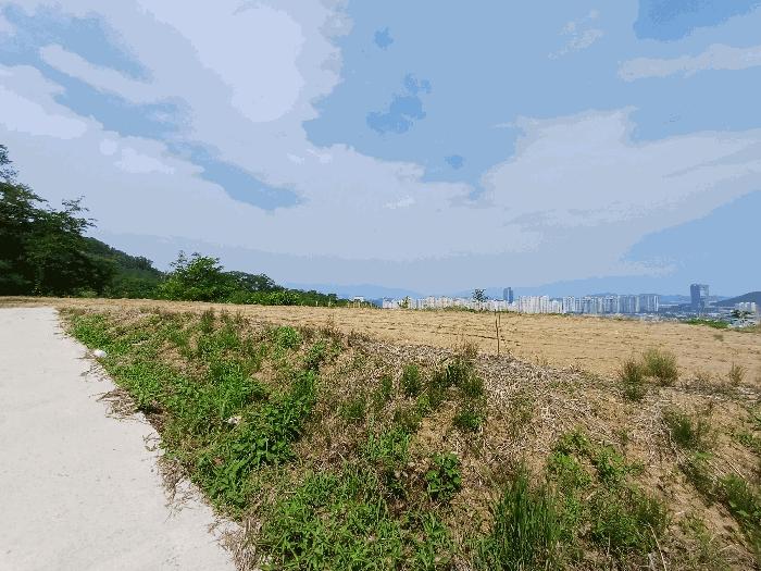 경상북도 김천시 남면 운남리 771-1 전 경매 사진 5