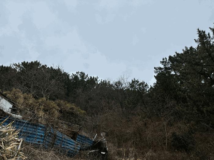 경상북도 영덕군 영해면 성내리 488-4 상가 경매 사진 3