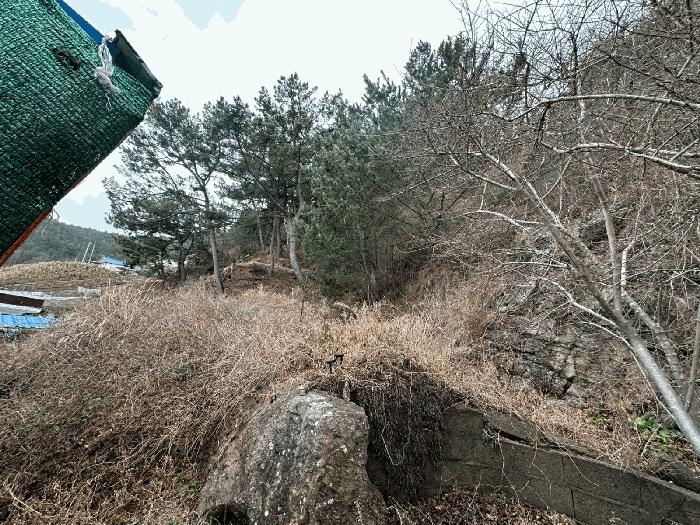 경상북도 영덕군 영해면 사진리 183 전 경매 사진 7
