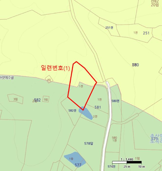 경상북도 영덕군 축산면 도곡리 582-1 전 경매 사진 4