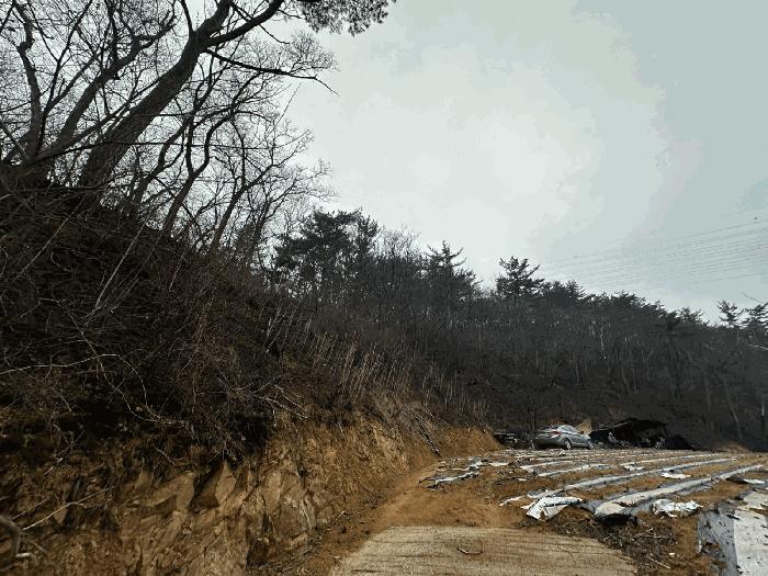 경상북도 영덕군 영덕읍 화수리 산188-1 임야 경매 사진 1