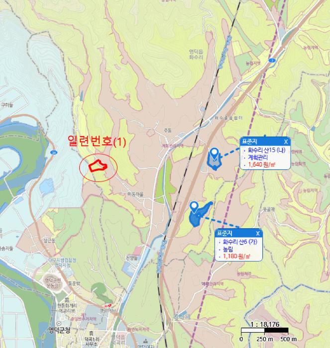 경상북도 영덕군 영덕읍 화수리 산188-1 임야 경매 사진 7