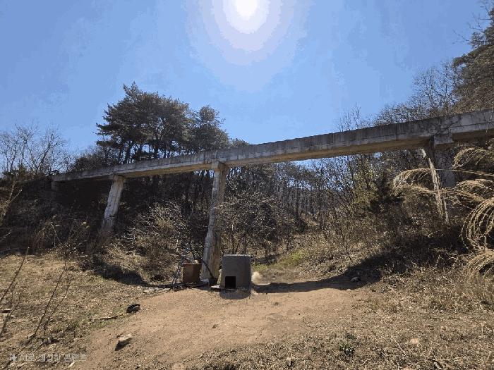 경상북도 영덕군 축산면 부곡리 산74 임야 경매 사진 1