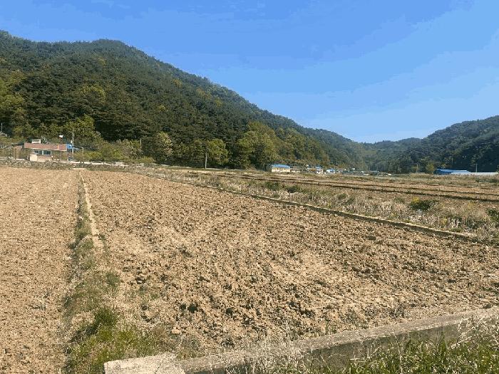 경상북도 울진군 평해읍 학곡리 1137 답 경매 사진 1
