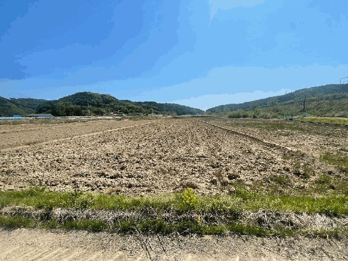 경상북도 울진군 평해읍 학곡리 1137 답 경매 사진 2