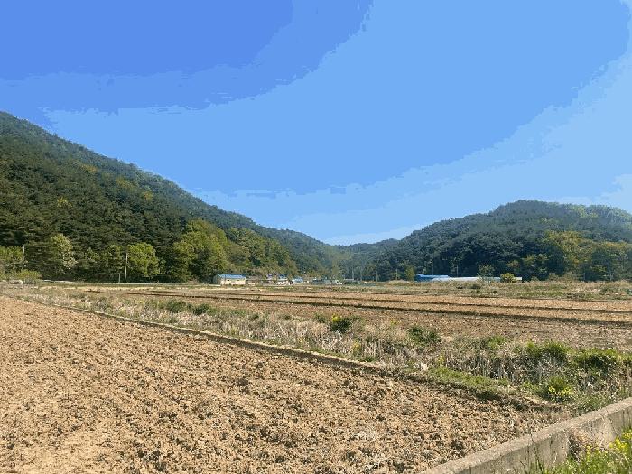 경상북도 울진군 평해읍 학곡리 1137 답 경매 사진 3