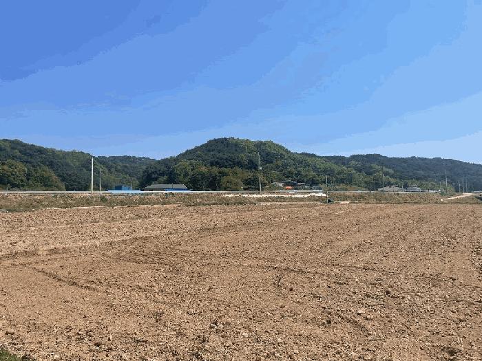 경상북도 울진군 평해읍 학곡리 1137 답 경매 사진 4