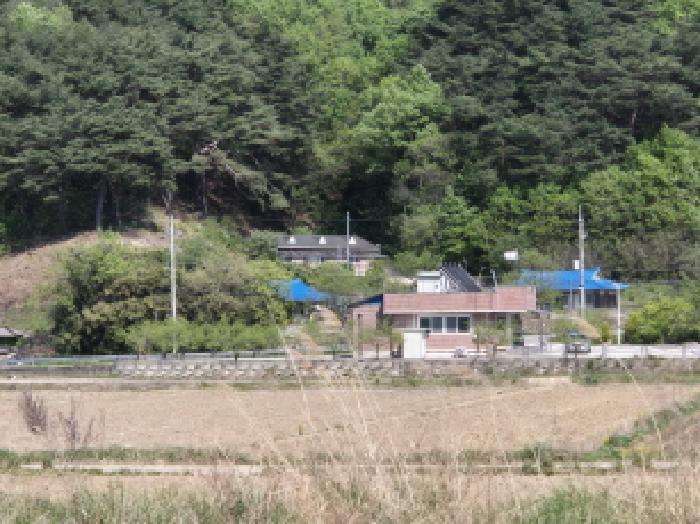 경상북도 울진군 평해읍 학곡리 1137 답 경매 사진 6