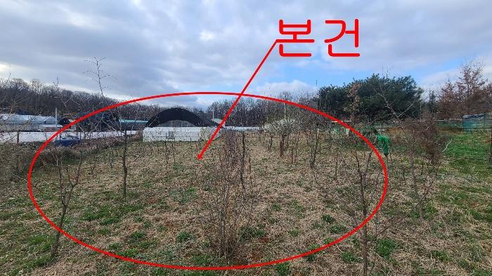 인천광역시 서구 경서동 139 전 경매 사진 3
