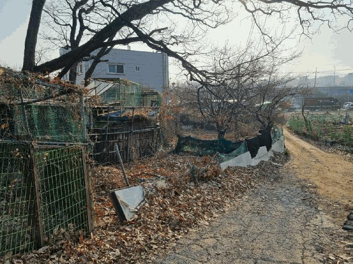 경기도 성남시 수정구 사송동 596 전 경매 사진 4