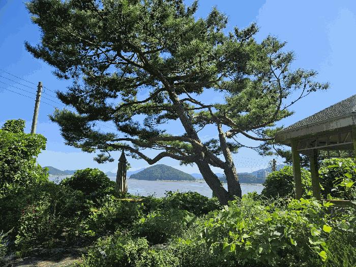 인천광역시 강화군 내가면 외포리 733-4 주택 경매 사진 3