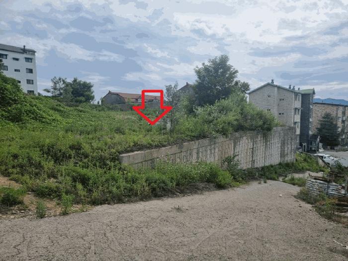 경기 광주시 임야