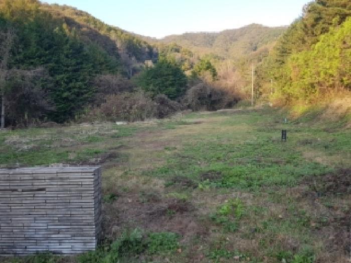 강원특별자치도 홍천군 서면 굴업리 293-3 숙박시설 경매 사진 44