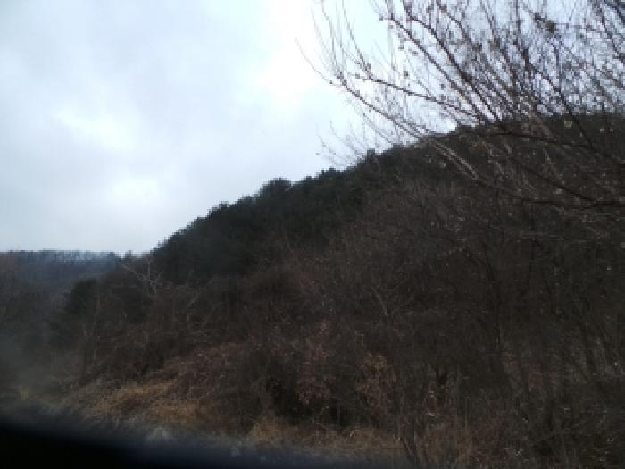 강원특별자치도 화천군 상서면 부촌리 산56 임야 경매 사진 14