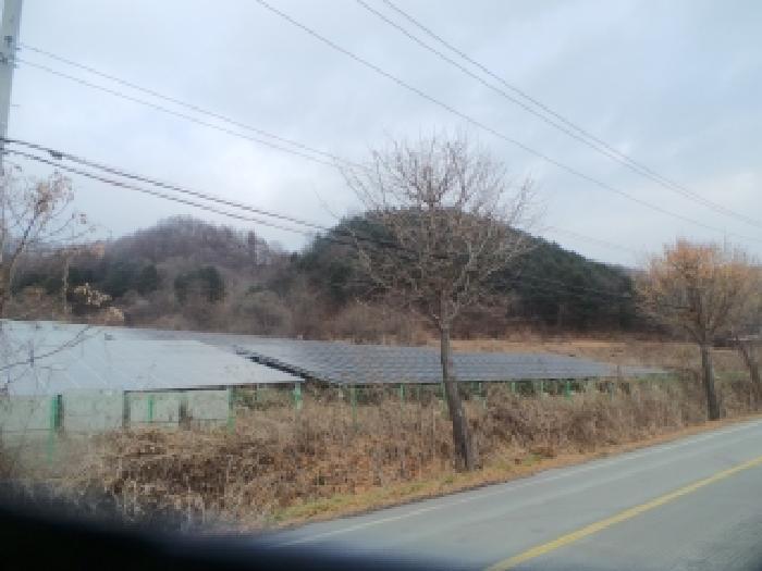 강원특별자치도 화천군 상서면 부촌리 산56 임야 경매 사진 18