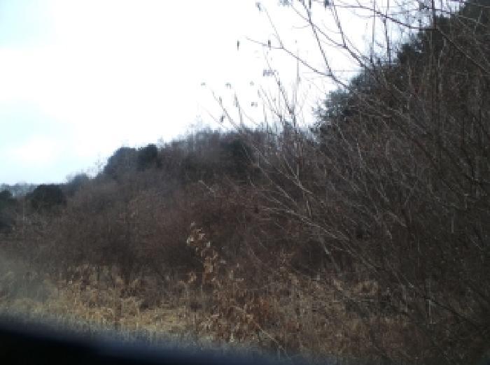 강원특별자치도 화천군 상서면 부촌리 산56 임야 경매 사진 2
