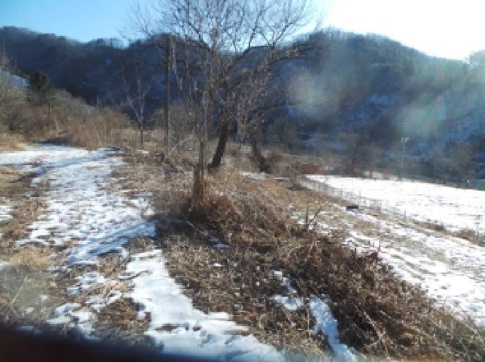 강원특별자치도 화천군 상서면 부촌리 산56 임야 경매 사진 20
