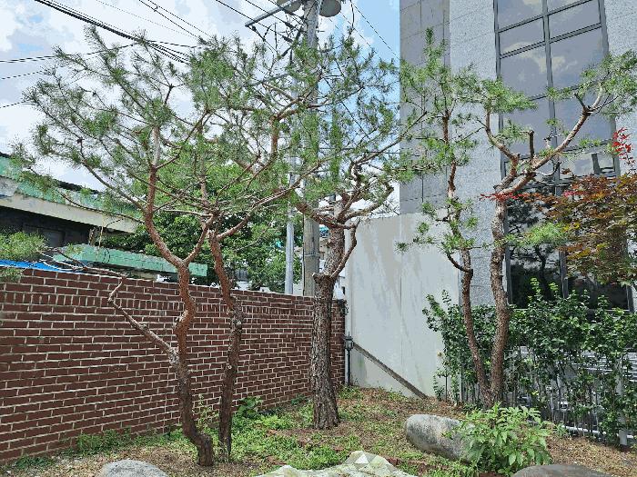 강원특별자치도 원주시 일산동 287-13 주택 경매 사진 4