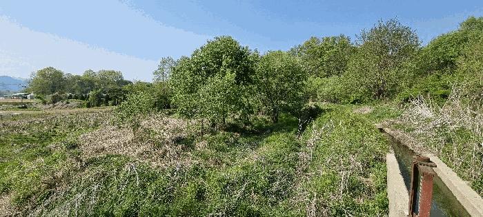 충청북도 충주시 중앙탑면 가흥리 307 답 경매 사진 1