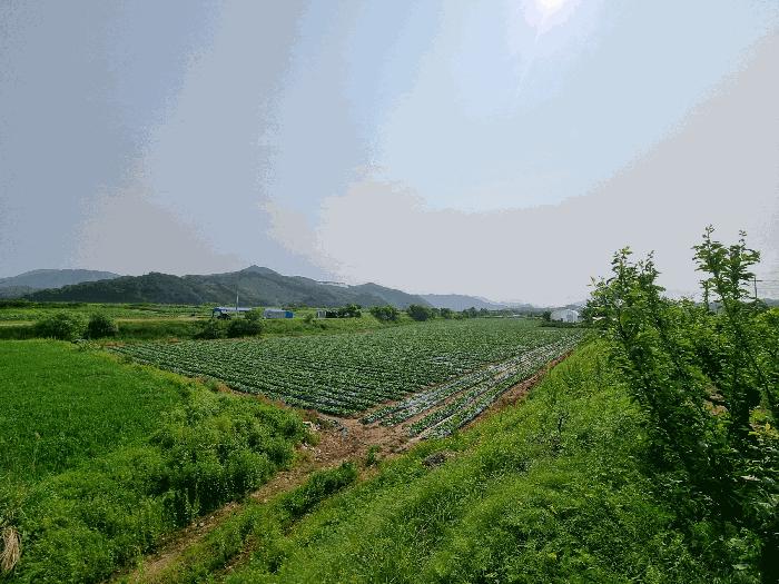 충청북도 충주시 엄정면 목계리 326-12 기타토지 경매 사진 1
