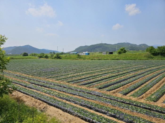 충청북도 충주시 중앙탑면 가흥리 744 전 경매 사진 10