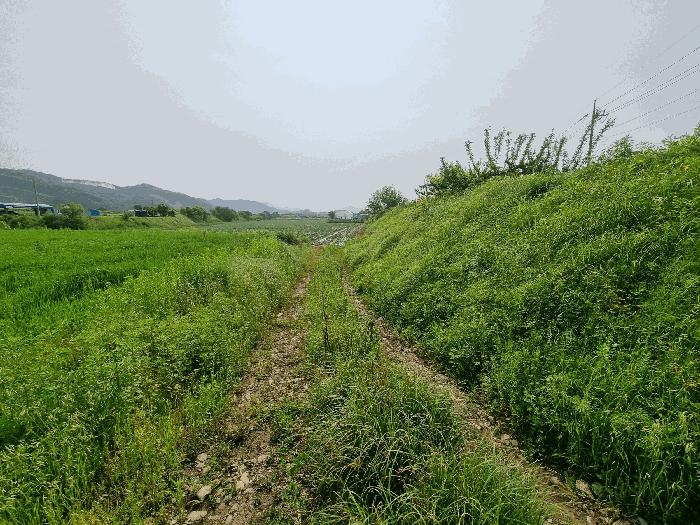충청북도 충주시 중앙탑면 가흥리 744 전 경매 사진 5