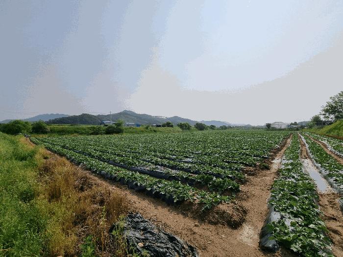 충청북도 충주시 중앙탑면 가흥리 744 전 경매 사진 6