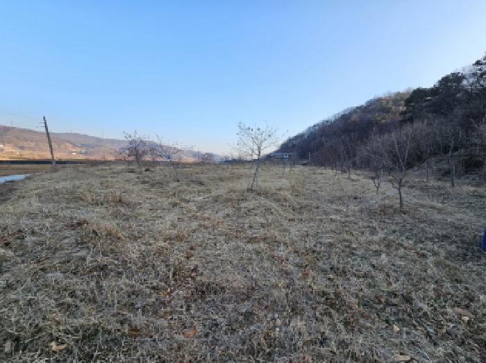 충청북도 충주시 앙성면 강천리 129-3 전 경매 사진 1