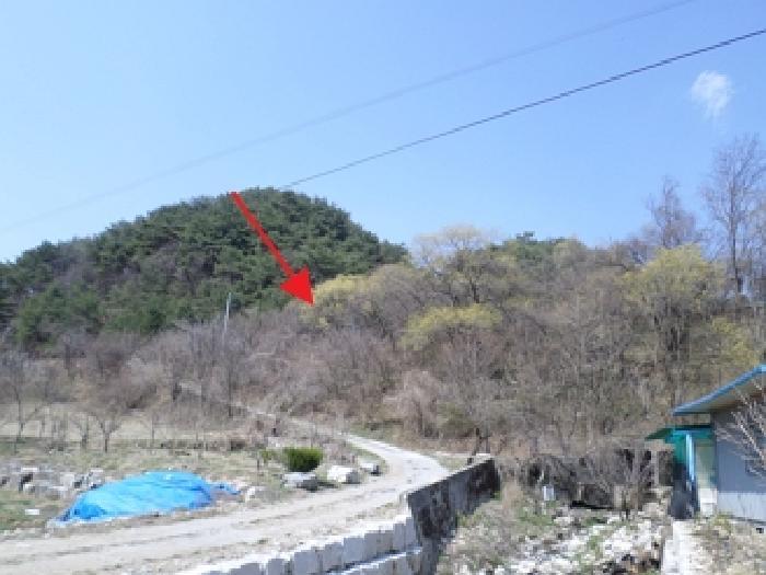 강원특별자치도 원주시 신림면 성남리 54 전 경매 사진 14
