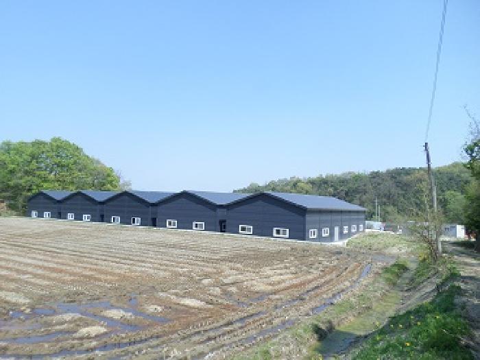 강원특별자치도 횡성군 횡성읍 반곡리 458-1 근린상가 경매 사진 22
