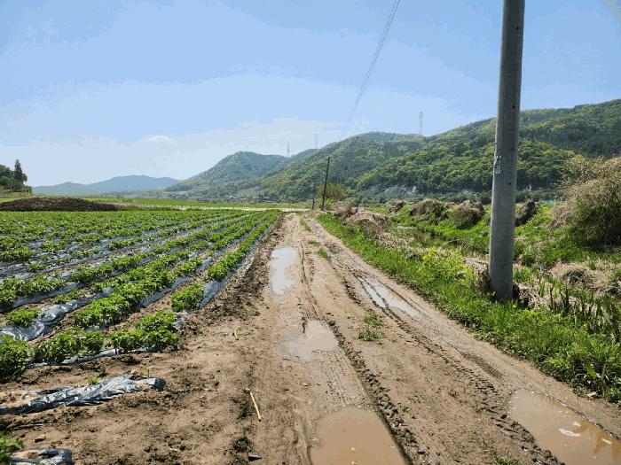 강원특별자치도 원주시 부론면 정산리 1481 전 경매 사진 3