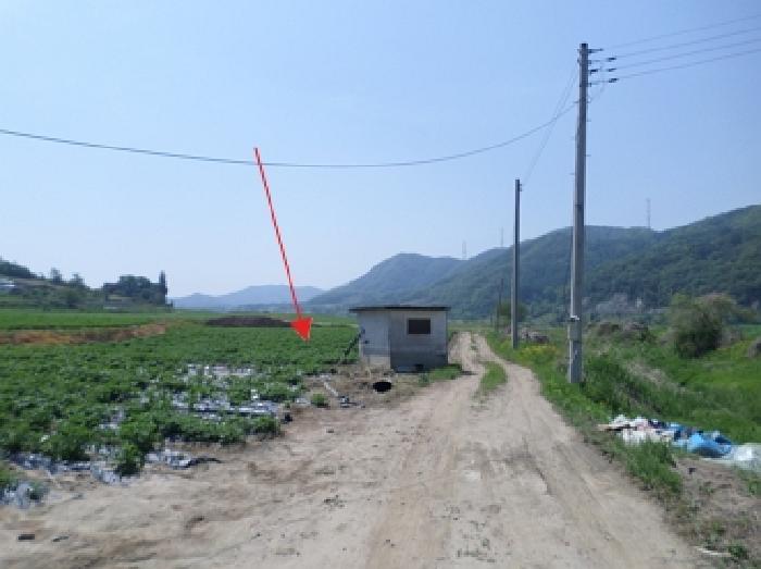 강원특별자치도 원주시 부론면 정산리 1481 전 경매 사진 4