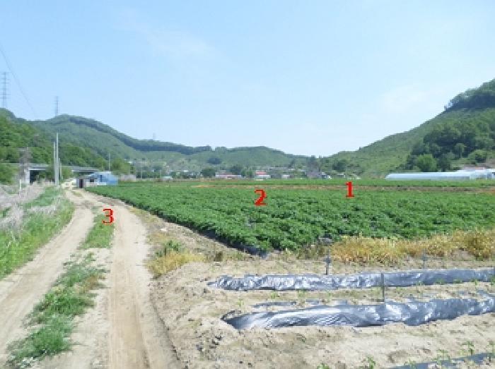강원특별자치도 원주시 부론면 정산리 1481 전 경매 사진 5