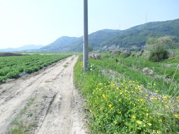 강원특별자치도 원주시 부론면 정산리 1481 전 경매 사진 7