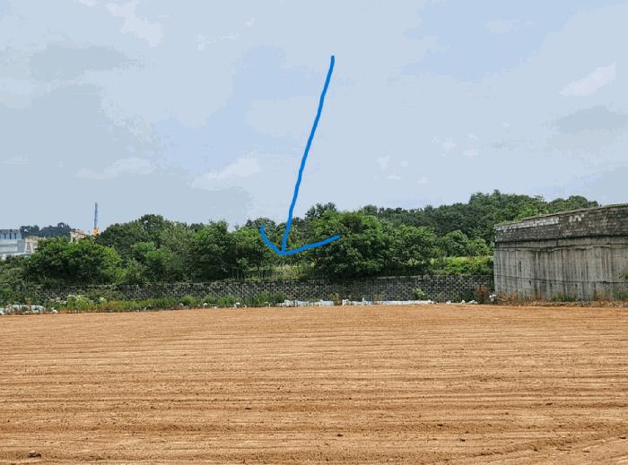 충청북도 음성군 대소면 태생리 산27-10 임야 경매 사진 4