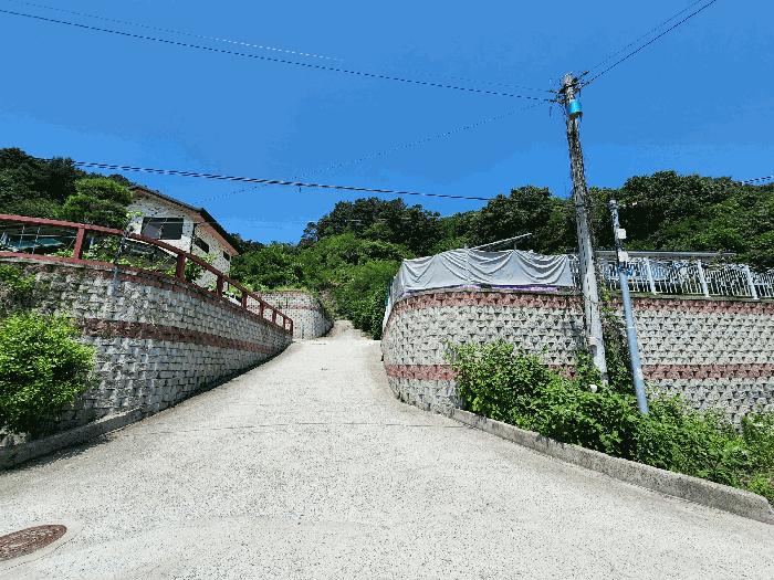 충청북도 음성군 금왕읍 무극리 산31 임야 경매 사진 3