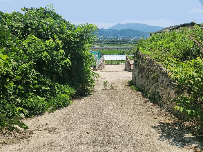충청북도 음성군 금왕읍 무극리 산31 임야 경매 사진 5