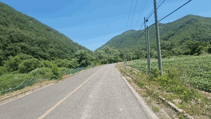 경상북도 포항시 북구 죽장면 하사리 산78 임야 경매 사진 2