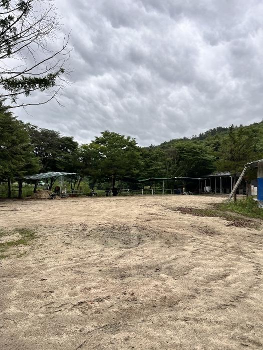 경상남도 진주시 집현면 덕오리 1235 주택 경매 사진 28