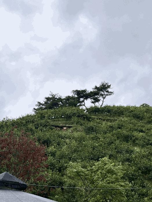 경상남도 진주시 집현면 덕오리 1235 주택 경매 사진 67