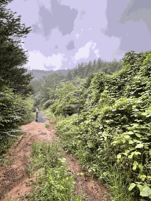 경상남도 진주시 집현면 덕오리 1235 주택 경매 사진 70
