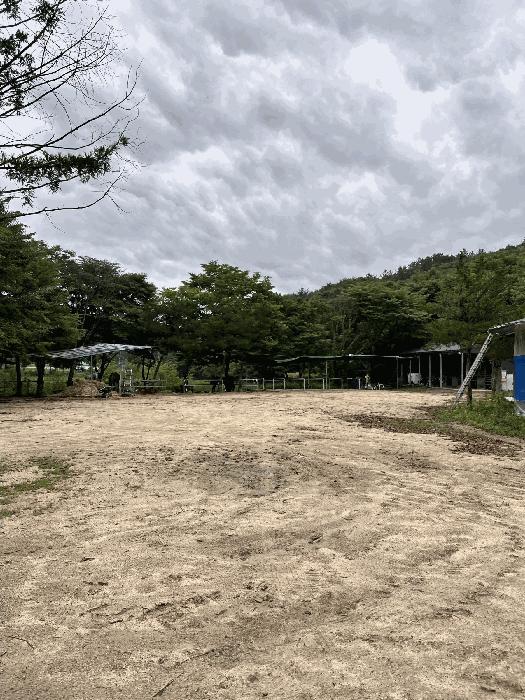 경상남도 진주시 집현면 덕오리 1235 주택 경매 사진 79