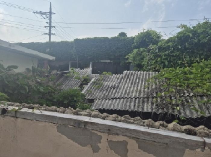 경상북도 포항시 남구 동해면 도구리 480 주택 경매 사진 9