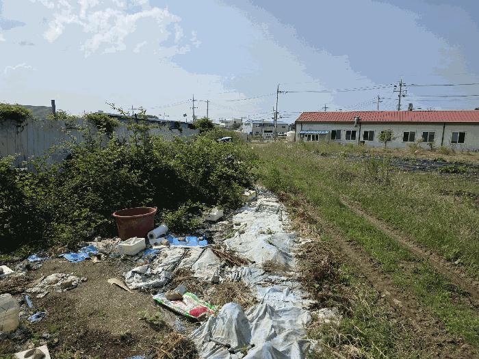 경상북도 포항시 남구 오천읍 세계리 산100-7 임야 경매 사진 8