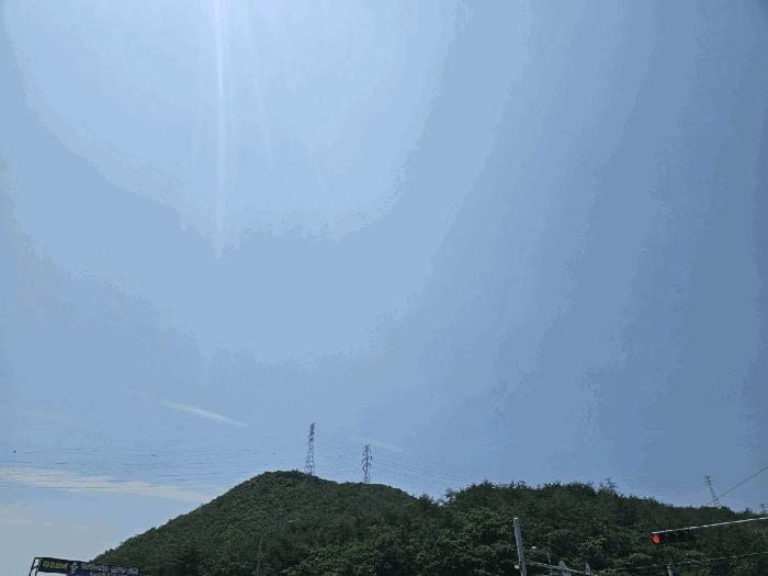 경상북도 포항시 남구 장기면 대곡리 산129-1 임야 경매 사진 1