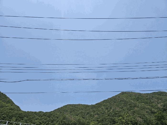 경상북도 포항시 남구 장기면 대곡리 산129-1 임야 경매 사진 2