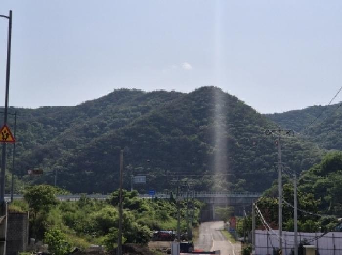 경상북도 포항시 남구 장기면 대곡리 산129-1 임야 경매 사진 3