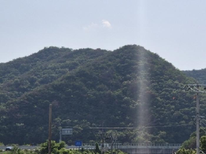 경상북도 포항시 남구 장기면 대곡리 산129-1 임야 경매 사진 4
